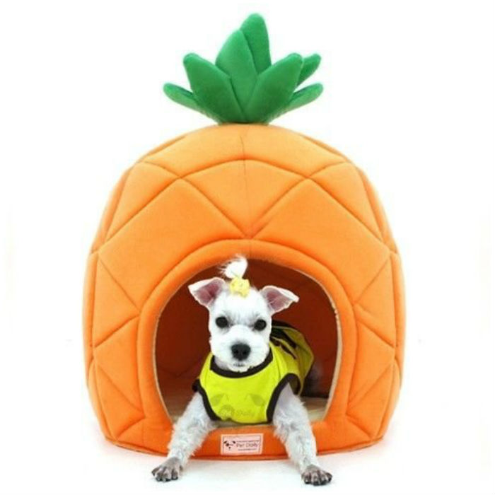 pineapples-dog-bed-buzzfeed